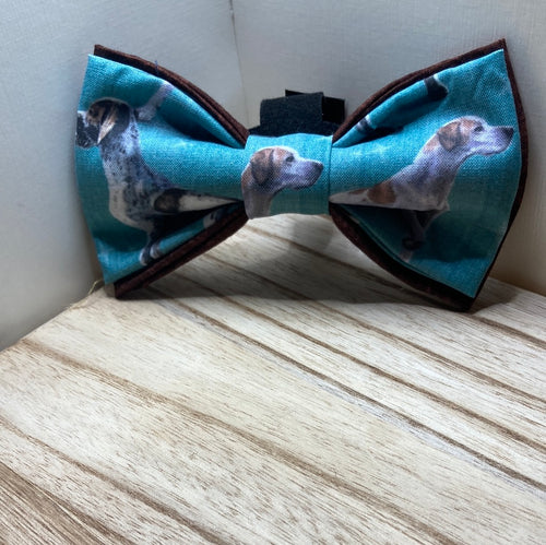 German Short haired Pointer Pet Bow Tie