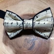 Load image into Gallery viewer, Musical Stanza and notes bow tie