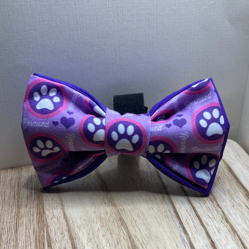 Rescued purple pet bow tie