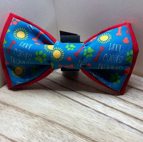 Here Comes Trouble  bright blue pet bow tie