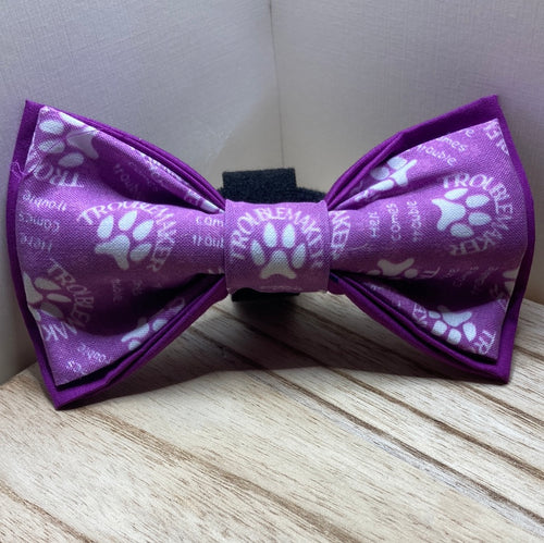 Troublemaker, Here Comes Trouble pet bow tie