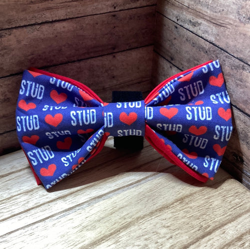 Stud Pet Bowtie