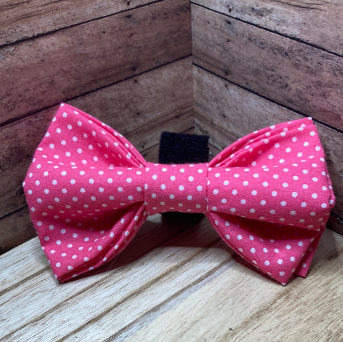 Salmon, pink and white tiny polkadot, Pet Bowtie