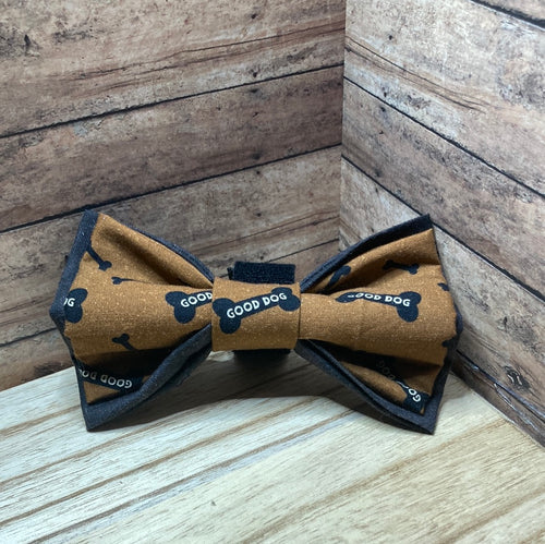 Good dog dog, Bowtie