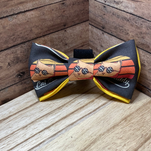 Cat daddy cat Bowtie