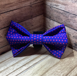 Electric blue and red polka dot pet bow tie