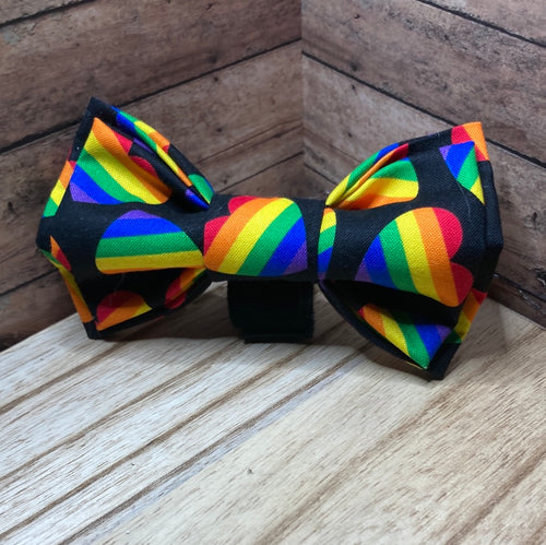 Pride, rainbow, hearts, pet, Bowtie