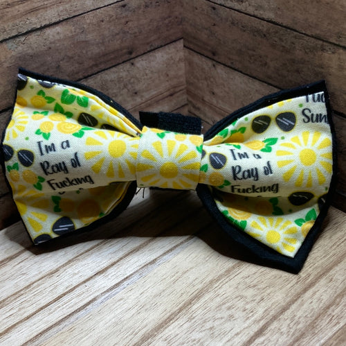 I’m a ray of fucking sunshine pet Bowtie