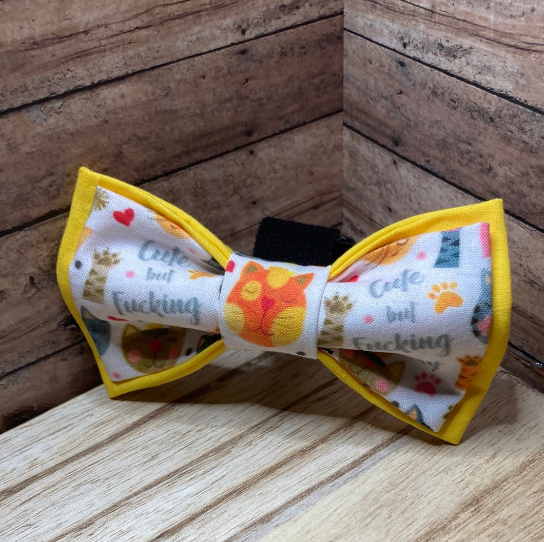 Cute but fucking crazy cat Bowtie