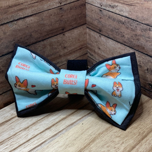 Corgi butts, dog Bowtie