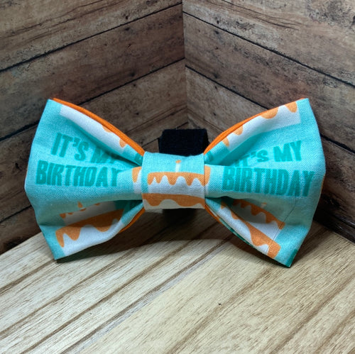 It’s my birthday pet Bowtie