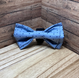 Pale blue and navy polkadot, Pet, Bowtie