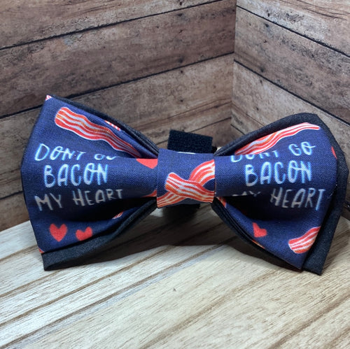 Don’t go bacon, my heart dog, Bowtie