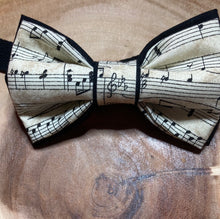 Load image into Gallery viewer, Musical Stanza and notes bow tie